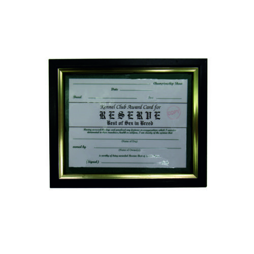 Reserve Best of Sex Certificate Frame